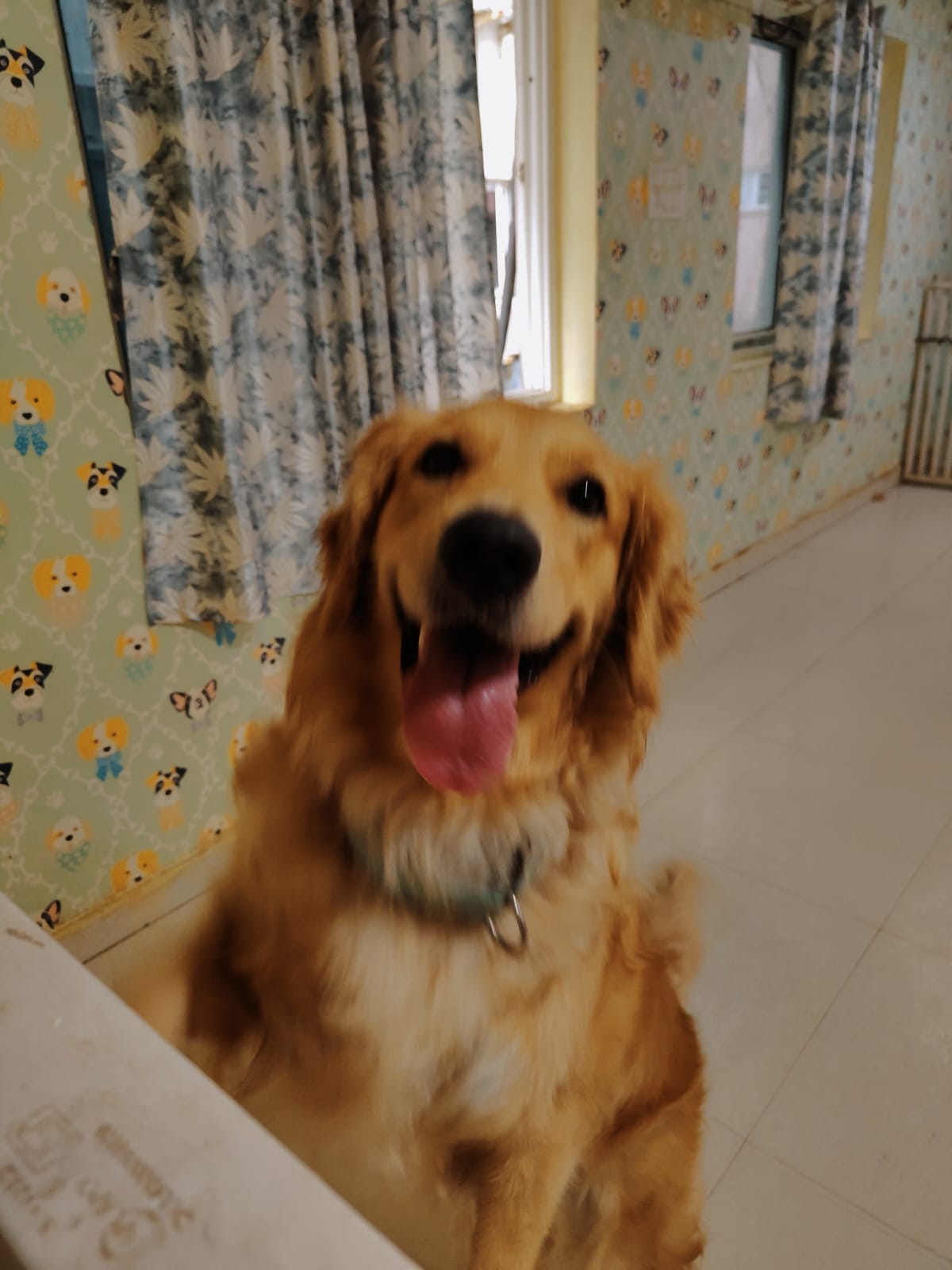 Daycare Social Fun