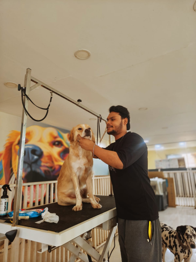 Zoomies Caregivers Pampering & Grooming Pets